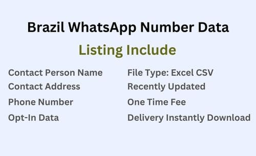 巴西 WhatsApp 号码数据