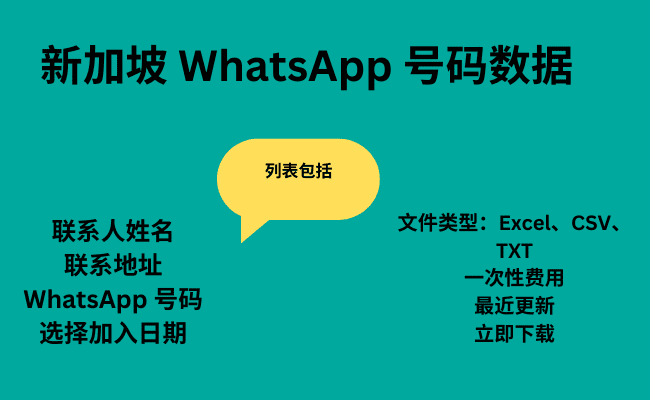 新加坡 WhatsApp 号码数据